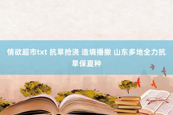 情欲超市txt 抗旱抢浇 造墒播撒 山东多地全力抗旱保夏种