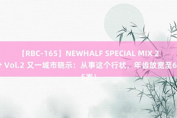 【RBC-165】NEWHALF SPECIAL MIX 240分 Vol.2 又一城市晓示：从事这个行状，年齿放宽至65岁！