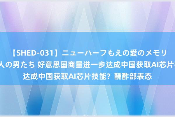 【SHED-031】ニューハーフもえの愛のメモリー 通り過ぎた12人の男たち 好意思国商量进一步达成中国获取AI芯片技能？酬酢部表态