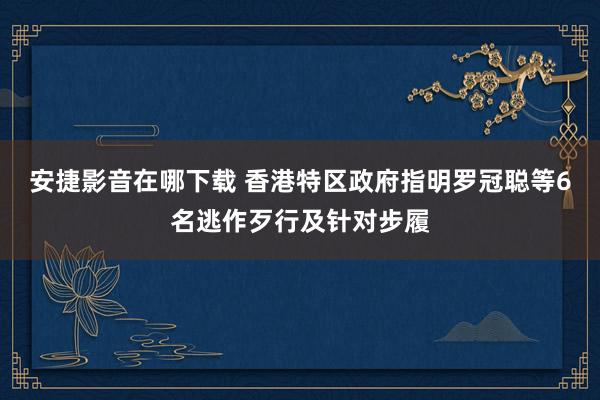 安捷影音在哪下载 香港特区政府指明罗冠聪等6名逃作歹行及针对步履