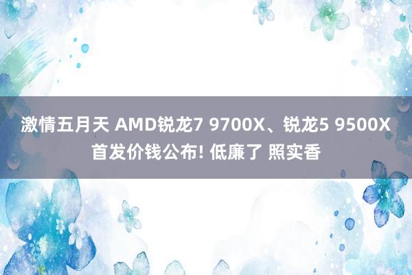 激情五月天 AMD锐龙7 9700X、锐龙5 9500X首发价钱公布! 低廉了 照实香