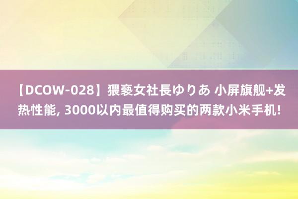 【DCOW-028】猥褻女社長ゆりあ 小屏旗舰+发热性能, 3000以内最值得购买的两款小米手机!