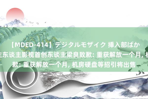 【MDED-414】デジタルモザイク 挿入部ばかり集めました2 东谈主东谈主影视首创东谈主梁良致歉: 重获解放一个月, 机房硬盘等招引将出售