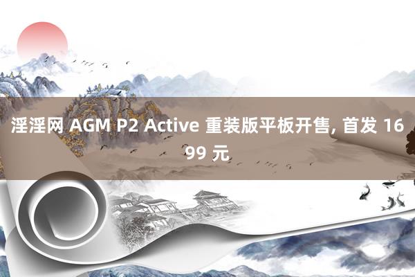 淫淫网 AGM P2 Active 重装版平板开售, 首发 1699 元