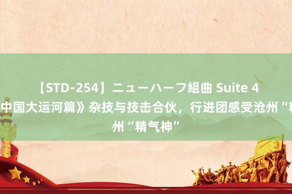 【STD-254】ニューハーフ組曲 Suite 4 《行进中国大运河篇》杂技与技击合伙，行进团感受沧州“精气神”