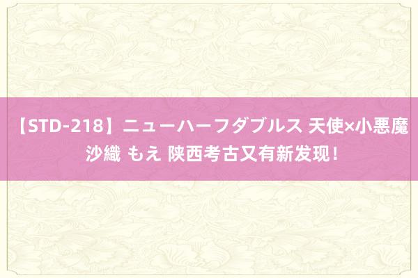 【STD-218】ニューハーフダブルス 天使×小悪魔 沙織 もえ 陕西考古又有新发现！