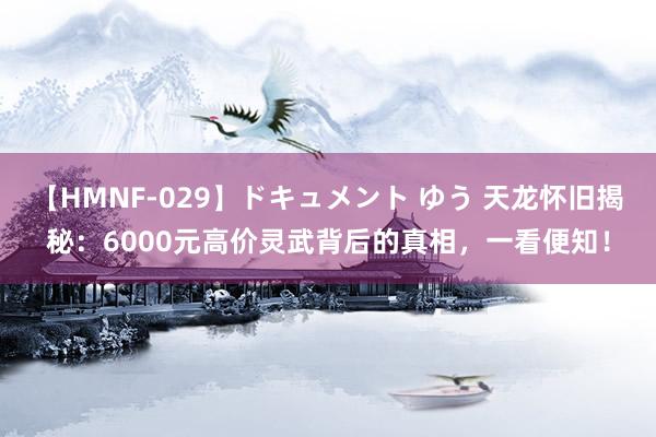 【HMNF-029】ドキュメント ゆう 天龙怀旧揭秘：6000元高价灵武背后的真相，一看便知！