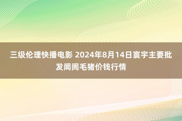 三级伦理快播电影 2024年8月14日寰宇主要批发阛阓毛猪价钱行情