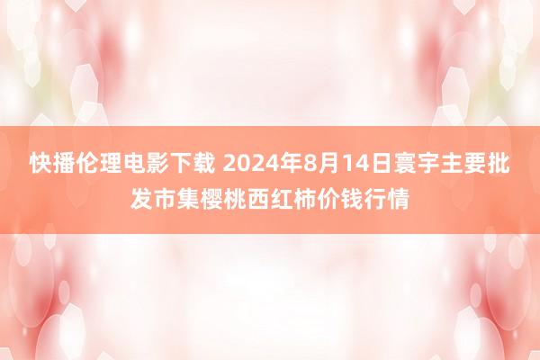 快播伦理电影下载 2024年8月14日寰宇主要批发市集樱桃西红柿价钱行情