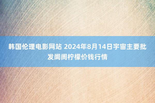 韩国伦理电影网站 2024年8月14日宇宙主要批发阛阓柠檬价钱行情