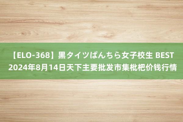 【ELO-368】黒タイツぱんちら女子校生 BEST 2024年8月14日天下主要批发市集枇杷价钱行情