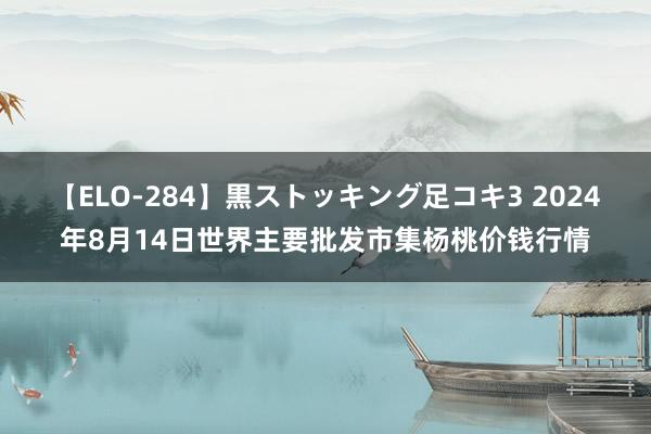 【ELO-284】黒ストッキング足コキ3 2024年8月14日世界主要批发市集杨桃价钱行情