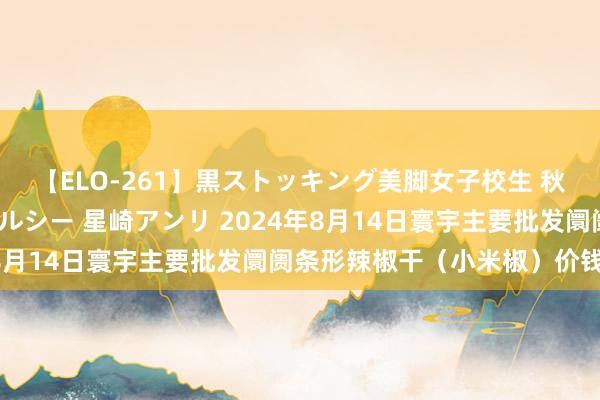 【ELO-261】黒ストッキング美脚女子校生 秋本レオナ さくら チェルシー 星崎アンリ 2024年8月14日寰宇主要批发阛阓条形辣椒干（小米椒）价钱行情