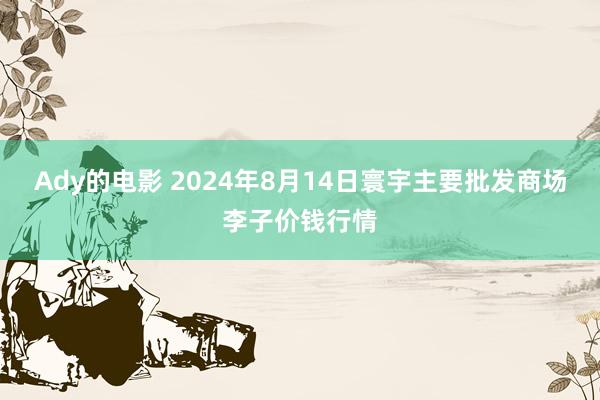 Ady的电影 2024年8月14日寰宇主要批发商场李子价钱行情