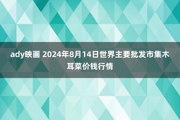 ady映画 2024年8月14日世界主要批发市集木耳菜价钱行情