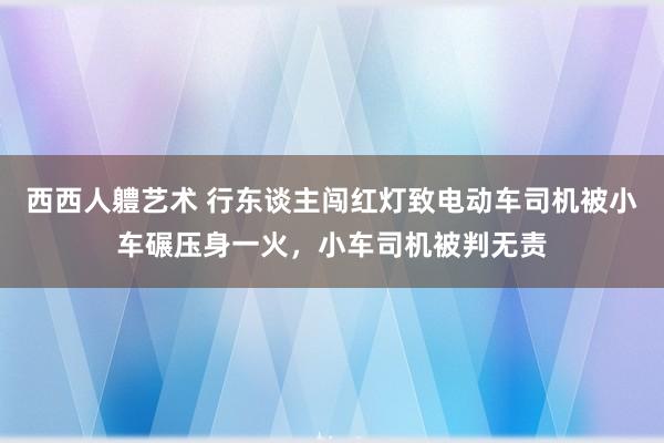 西西人軆艺术 行东谈主闯红灯致电动车司机被小车碾压身一火，小车司机被判无责