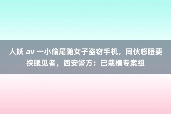 人妖 av 一小偷尾随女子盗窃手机，同伙怒瞪要挟眼见者，西安警方：已栽植专案组