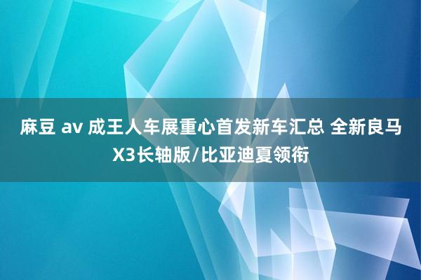 麻豆 av 成王人车展重心首发新车汇总 全新良马X3长轴版/比亚迪夏领衔