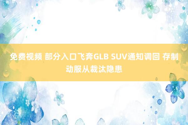 免费视频 部分入口飞奔GLB SUV通知调回 存制动服从裁汰隐患