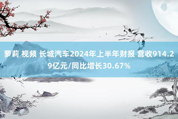 萝莉 视频 长城汽车2024年上半年财报 营收914.29亿元/同比增长30.67%