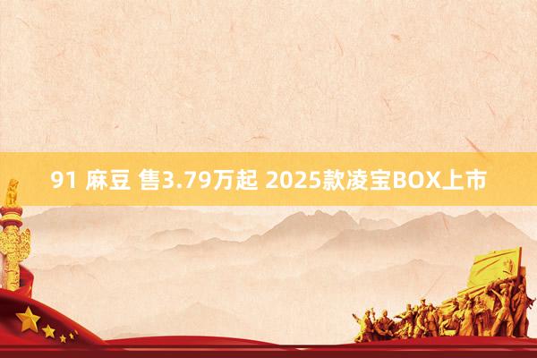 91 麻豆 售3.79万起 2025款凌宝BOX上市