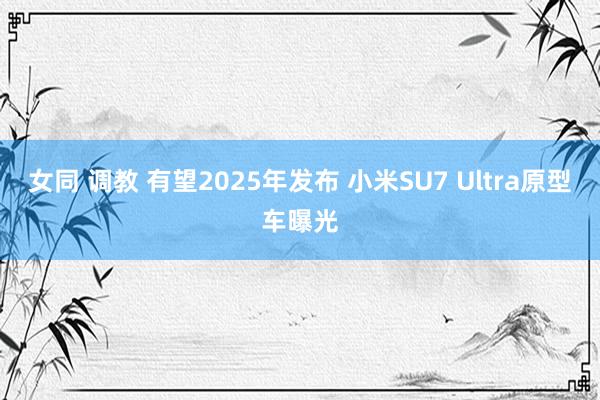 女同 调教 有望2025年发布 小米SU7 Ultra原型车曝光