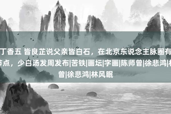 丁香五 皆良芷说父亲皆白石，在北京东说念主脉圈有两个节点，少白汤发周发布|苦铁|画坛|字画|陈师曾|徐悲鸿|林风眠