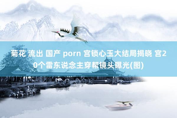 菊花 流出 国产 porn 宫锁心玉大结局揭晓 宫20个雷东说念主穿帮镜头曝光(图)